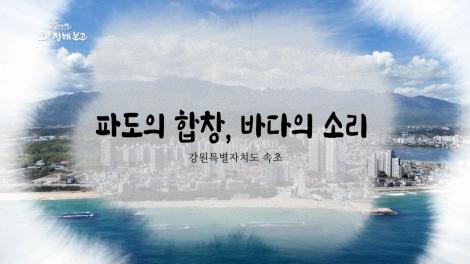 [로컬여행, 오! 정해보고] 19회 강원특별자치도 속초 편